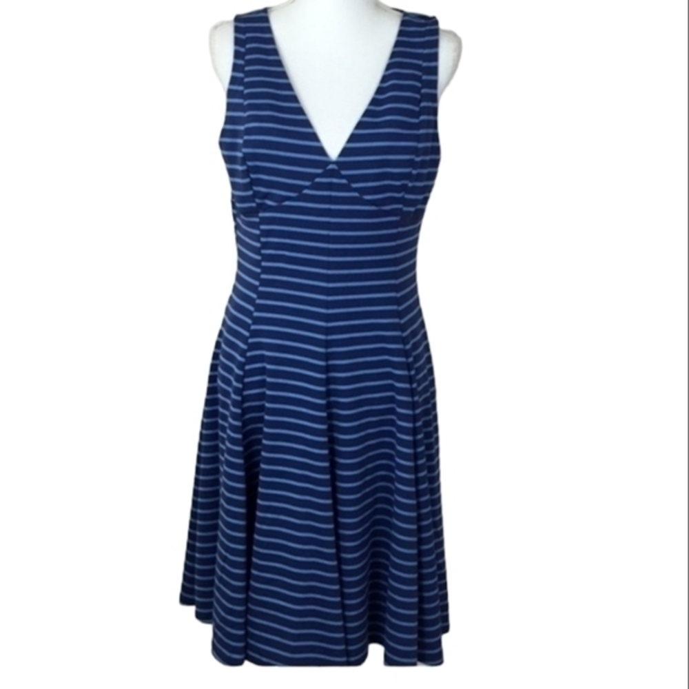 Peter Som Women's‎ Blue Stripe Sleeveless V-Neck Skater Dress Size 6
